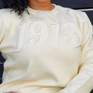 Color sólido 1913 Chenille Sudadera de cuello redondo Premium Fleece Sorority Apparel Greek DST Monochrome Winter Top - Product Image 6