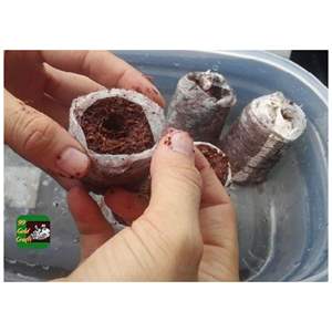 ECO COCO COIR PELLETS BIO SEED STARTER DISK POUR Pépinière SERRE ET JARDIN PROJET VENTE EN GROS - Product Image 2