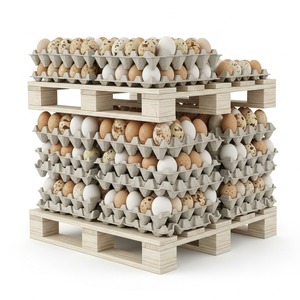 ไข่ไก่สดเปลือกหอยสีน้ำตาลและสีขาวสำหรับฟาร์ม - Product Image 5