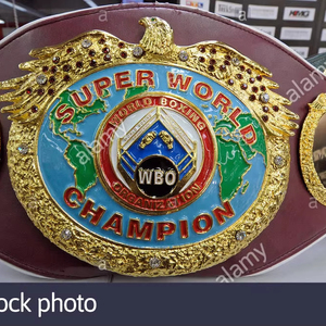 Ceintures de championnat de boxe Trophées Médailles et récompenses le symbole ultime de la victoire et de l'excellence Ceintures de championnat - Product Image 4
