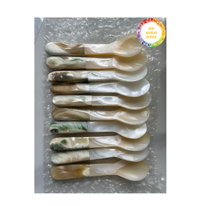 Cuillère en nacre d'huître polie Vietnam idéale pour la présentation des aliments et la vaisselle raffinée - Product Image 3