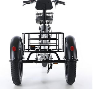 Triciclo Eléctrico con Marco de Aluminio y Neumáticos Anchos, Disponible en Stock, 500W 48V 12Ah, Freno de Disco, Utilitario de Carga, Alcance de 40km - Product Image 1