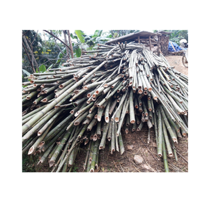 Materiales de construcción de alta calidad Natural fuerte recto poste de bambú jardinería libre de impuestos/venta al por mayor postes de bambú para la construcción - Product Image 1