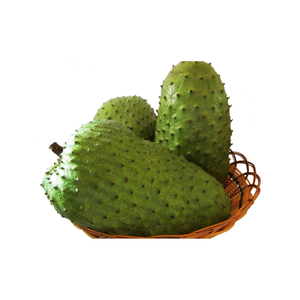 Rebanadas de Guanábana congelada de Vietnam cuidadosamente seleccionadas y procesadas IQF para una máxima frescura Ideal para batidos - Product Image 6