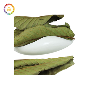 Feuilles de goyave séchées en gros-Prix bas, traitement propre, prêt pour l'utilisation de thé ou d'extrait - Product Image 1