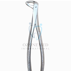 Pinces en métal d'instruments chirurgicaux dentaires professionnels de haute qualité pour le traitement de soins bucco-dentaires - Product Image 1