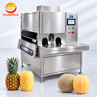 Commerciële Ananas Fruit Dunschiller Machine Automatische Fruit Pompoen Schilmachine Meloen Huid Dunschiller