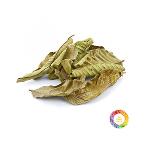 Thé en feuilles de goyave de qualité supérieure Infusion naturelle aux herbes Approvisionnement en gros en vrac Emballage personnalisé Mélange de feuilles de goyave séchées pour la consommation quotidienne - Product Image 6