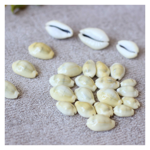 Coquillage noir Cowry Craft, Coquillage de coquillage naturel pour l'élégance côtière, cadeau de coquille écologique tacheté pour les amoureux de l'océan - Product Image 2