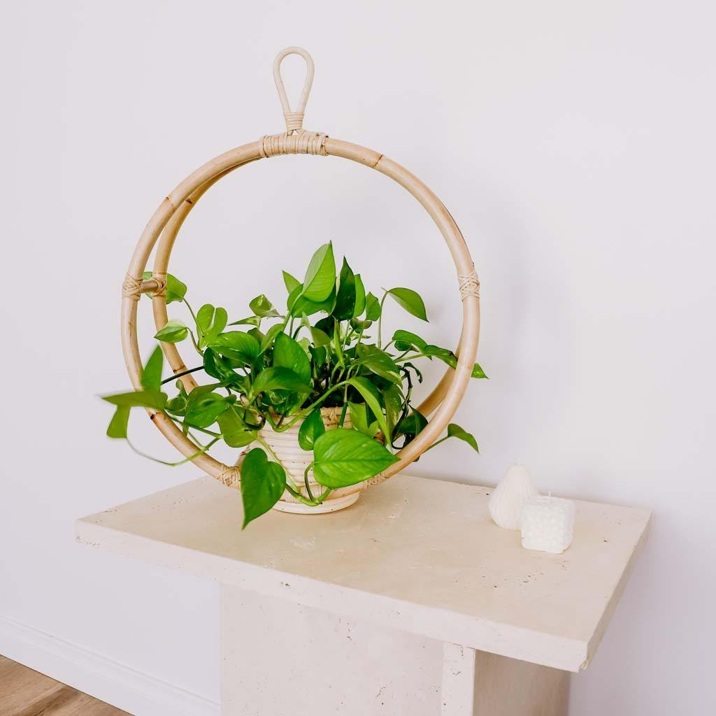 ธรรมชาติ