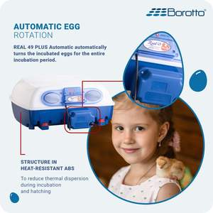 Incubateur à œufs Real 49 Plus Expert à vendre, taille moyenne, garantie de 2 ans, incubateur automatique pour 49 œufs, prix en Italie - Product Image 4