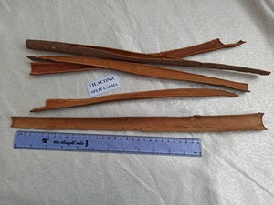 CASSIA DE CANELA DE PALO ROTO DE ALTA CALIDAD DE VIET NAM - Product Image 6