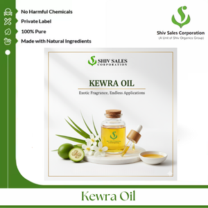 น้ำมันคิวราคุณภาพสูงสำหรับน้ำหอม อัตตาร์ และวัตถุดิบอโรมา สำหรับธุรกิจทั่วโลก - Product Image 2