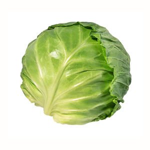 ขึ้นฉ่ายผักกาดขาวทั้งต้นแบบจีนสำหรับใช้ในฟาร์ม - Product Image 6