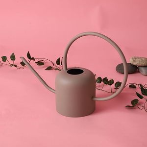 Arrosoir en métal vintage pour les passionnés de jardinage, arrosoir en métal fiable pour la croissance des plantes - Product Image 1
