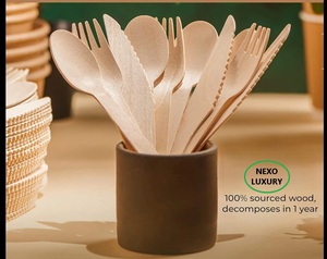 Nexo Luxury 100% Couverts jetables en bois biodégradable avec 10,000 pièces pour les fêtes - Product Image 4