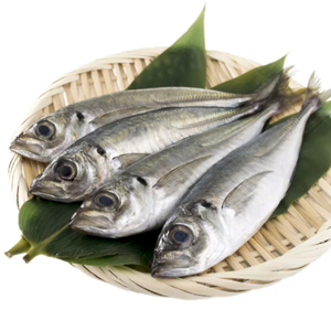 Pescado de caballa, caballa redonda, pescado de caballa, pescado de caballa, Atka, pescado de caballa - Product Image 1