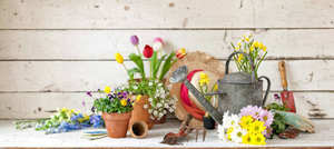 Arrosoir rond en métal de 50 cm, pot à eau galvanisé pour le jardin - Product Image 6