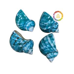 ROYAL DECOR 2025, servilleteros de concha de mar coloridos naturales de lujo, gran oferta para ocasiones de fiesta, Ocean Vibe - Product Image 1