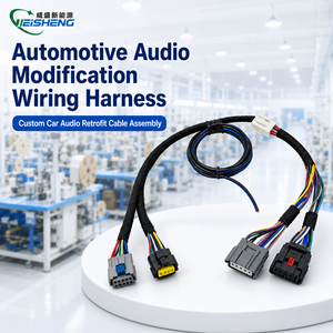 Harness Kabel Amplifier DSP Audio Mobil dengan Isolasi Tembaga Berlapis Timah IP67 Frekuensi Tinggi PTFE/Nylon/PVC Panjang Dapat Disesuaikan - Product Image 1