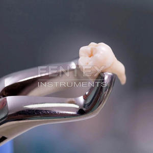 Kit de fórceps de extracción Dental para adultos, 10 Uds., elevador de raíz curvada, herramientas orales para extracción de dientes quirúrgicos manuales - Product Image 4