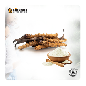 LiGNO OCS02 ®   Ophiocordyceps Sinensis en Polvo de Malasia, Aumenta la Energía y la Resistencia, GMP, OEM, ODM, Suplemento Funcional Listo para Usar - Product Image 1