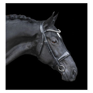Lumiere Equestrian Alison แผ่นบังเหียนหนัง,Cavesson - Product Image 2