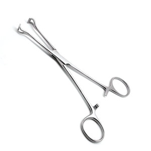 Autoclavable Babcock Forceps with <b>Ratchet</b> Lock for Secure <b>Handling</b> Medical Instrument Babcock Forceps - Product Image 3