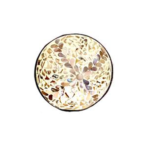 Nuevo diseño de cuencos de coco nácar, producto caliente ecológico más vendido de Vietnam empaquetado en cartón - Product Image 2