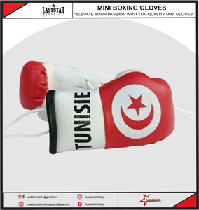 Mini guantes de boxeo, diseño de Bandera de País personalizado, llavero colgante de coche, cuero PU, venta al por mayor, OEM, Bandera de Túnez, Mini guantes de boxeo - Product Image 6