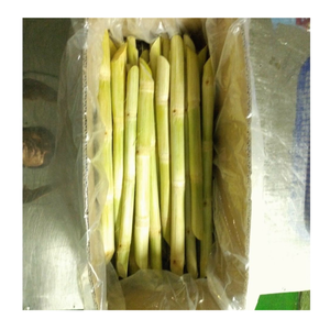 Bâtons de canne à sucre congelés IQF canne à sucre congelée fraîche du Vietnam pour bars à jus et restaurants - Product Image 3