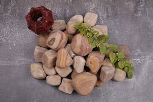 Mosaicos de Piedra Natural Ecológicos Multicolores al por Mayor de la India 2025, Inspirados en Arcoíris, Adoquines, Guijarros, Diseño Rústico para - Product Image 3