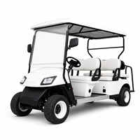 Voiturette de golf électrique 6 places UCJD-DH-14, fabricant de voiturettes de golf personnalisées pour hôtels, complexes hôteliers, parcs et marché mondial