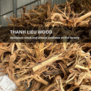 Alta demanda forma de árbol único Driftwoo ornamento precio al por mayor hecho en Vietnam - Product Image 6