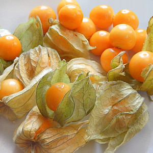 Graines de raisin brésiliennes Inca Berry, fruit ornemental comestible et médicinal, fournitures de jardinage - Product Image 5