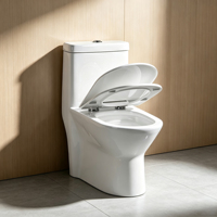 Cuvettes de WC modernes de luxe en céramique, style japonais, noir et or, avec motif Dragon Doré