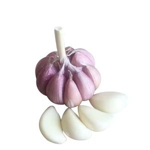 Ail blanc frais de qualité supérieure 6.0cm AUTRICHE Ail blanc pur en gros Achetez maintenant avec livraison rapide - Product Image 4