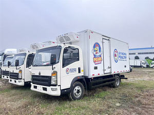 BEST OFFER USED 4x2 Left Hand Drive New Day Old Chick <b>Transport</b> Truck Poultry Livestock Insulated V-a-n Truck - Product Image 2