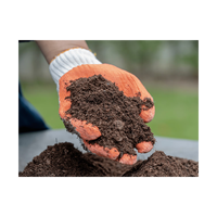 Lumut peat premium dalam jumlah besar untuk hortikultura dan pertanian profesional