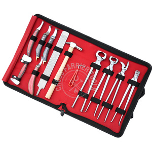 Kit d'outils de maréchal-ferrant en acier inoxydable pour chevaux, comprenant un tire-clous, un coupe-crevasses à 14 dents, un marteau, un tampon, une râpe, un couteau à boucle, des couteaux à crâne courbés pour abèsse - Product Image 1