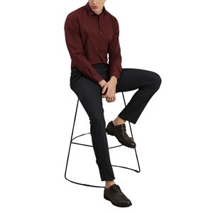 Camisa de vestir de manga larga sin arrugas para hombre Camisa formal de negocios con botones - Product Image 1