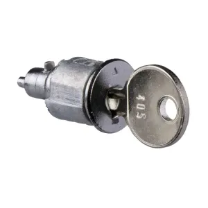 Sistema di chiusura a tenuta LVSXS2 per armadietti/gabinetti Schneider Electric - Product Image 1