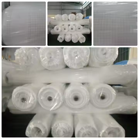 Prix d'usine direct léger Durable étanche Leno bâche couverture résistant à l'eau tissé Technique pour serre
