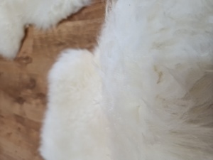 Thảm da cừu trắng tự nhiên với Len dài. Da Cừu tuyệt vời. Da cừu da. Thảm da cừu. Thảm - Product Image 2