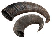 Corne de buffle naturelle fabriquée à la main chien mâche imperméable doux moderne soutien santé dentaire fournir une option de mastication durable et sûre - Product Image 5