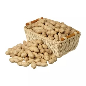 Nouvelle culture de haute qualité cacahuètes crues en coquille meilleures ventes de collations séchées en gros approvisionnement en vrac - Product Image 1