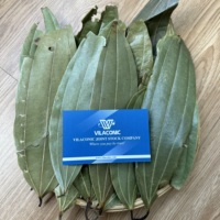 Épices et herbes séchées en gros, feuilles de cannelle cassia brutes 100% naturelles, fabriquées au Vietnam, haute qualité ANNA DO +84982153058