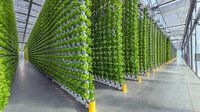 Système NFT d'agriculture hydroponique en serre pour la culture verticale de crabes et de légumes