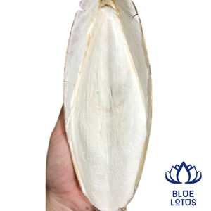 ปลาหมึกอบแห้ง - Product Image 1
