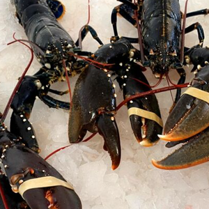 กุ้งก้ามกรามสดแบบพรีเมี่ยม | ล็อบสเตอร์แคนาดาสด | ล็อบสเตอร์สดใหม่จากบอสตัน-ผลิตภัณฑ์อาหารทะเล - Product Image 3